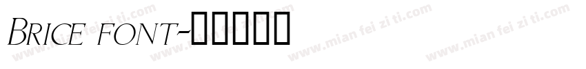Brice font字体转换